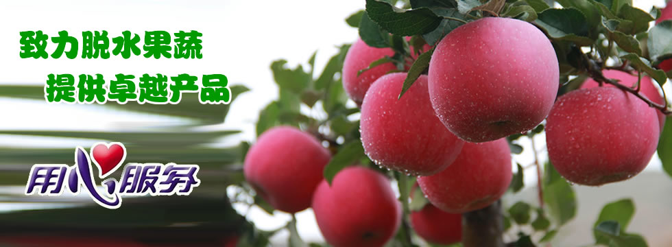ŐƵ޹˾